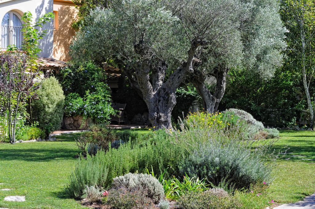 Lodge De Charme A Cheda Bonifacio  Exterior photo